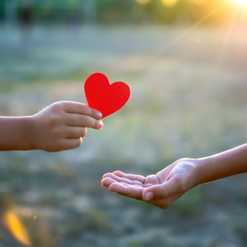 SP4 - Valoriser les coups de coeur de la bibliothèque