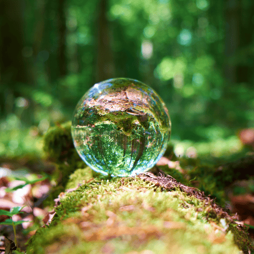 Land'Art : idées créatives pour des animations nature...