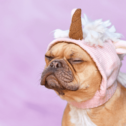 SP13-  Maîtriser l'information à l'ère numérique : la lutte contre les fake news