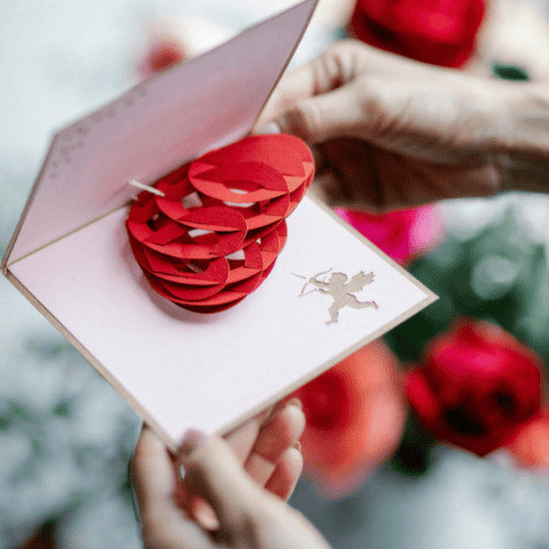 AL2 - Jolis pop-ups faciles à vivre 