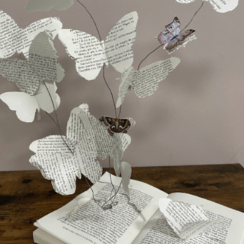 AL4 - Créer avec les fruits du désherbage: livres pliés, sculptés et détournés