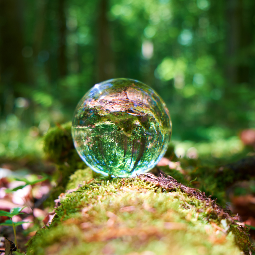 AL6 - Land'Art : idées créatives pour des animations nature...