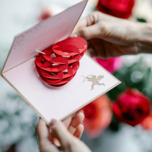 AL2 - Jolis pop-ups faciles à vivre 